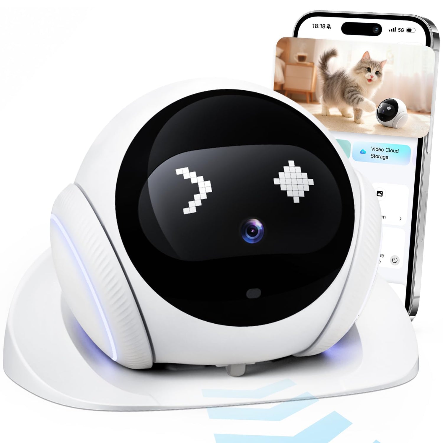 Pet Camera Monitoring